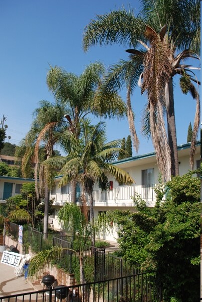 The Palms Apartaments - The Palms Apartments