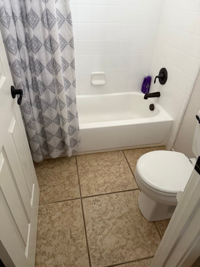 Photo - 11638 Catchfly