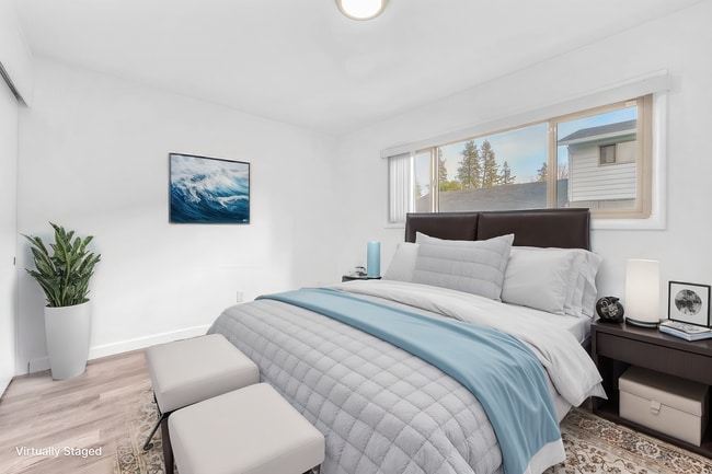 Photo - Lively on Electric