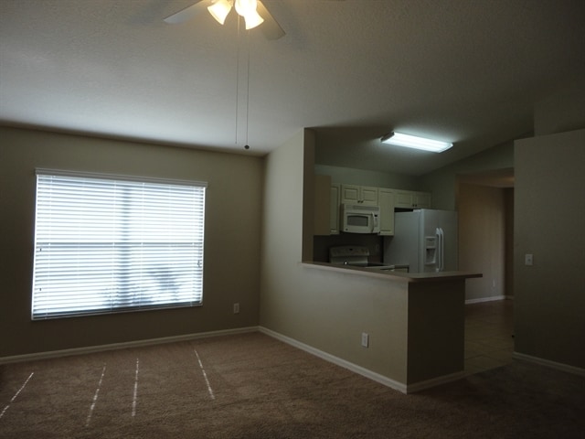 Photo - 13137 Carrollwood Creek Dr