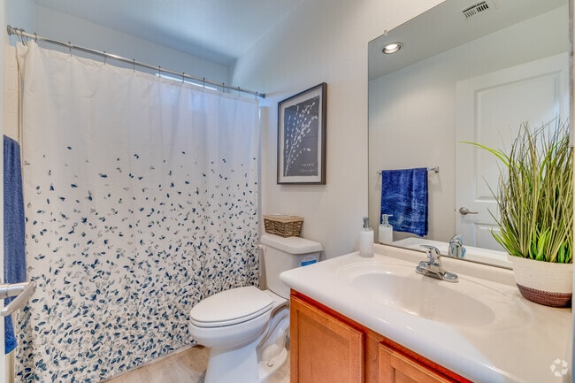 2BR, 2BA - 956SF - Primary Bathroom