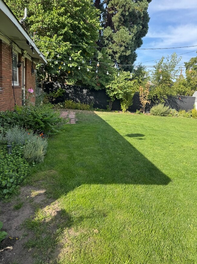 patio trasero