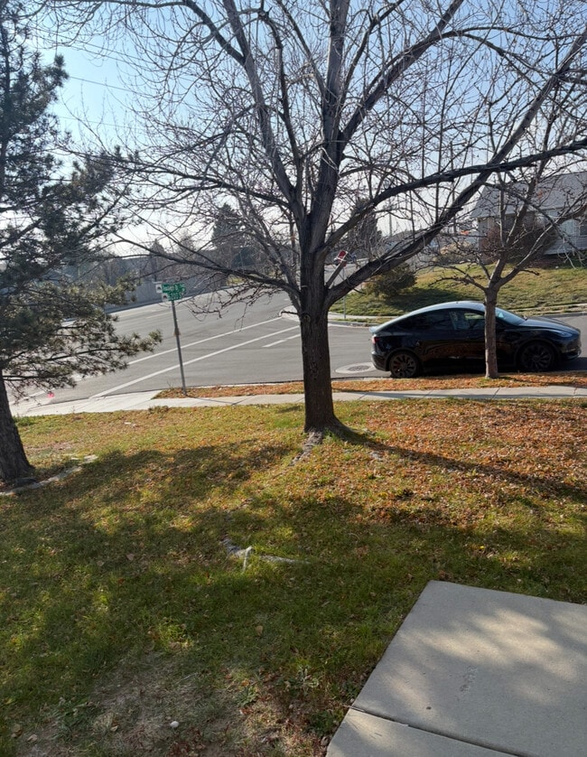 Photo - 6189 Dewdrops Dr