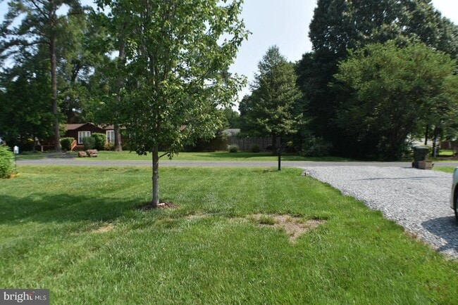 Photo - 305 Cedar Ln