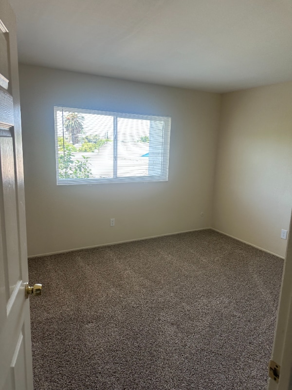 Building Photo - 552 Millar Ave Rental