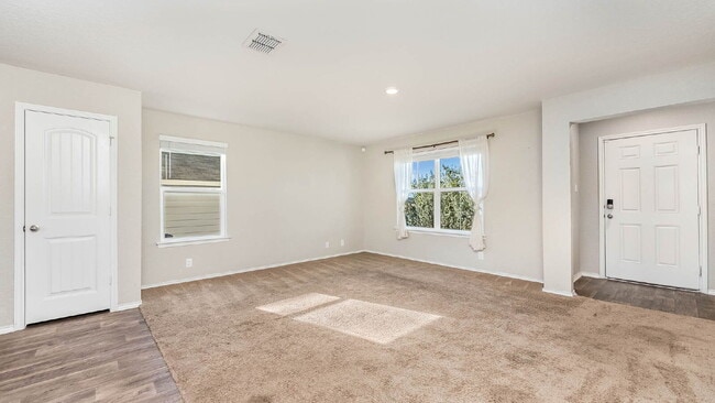 Photo - 206 Moscovy Duck