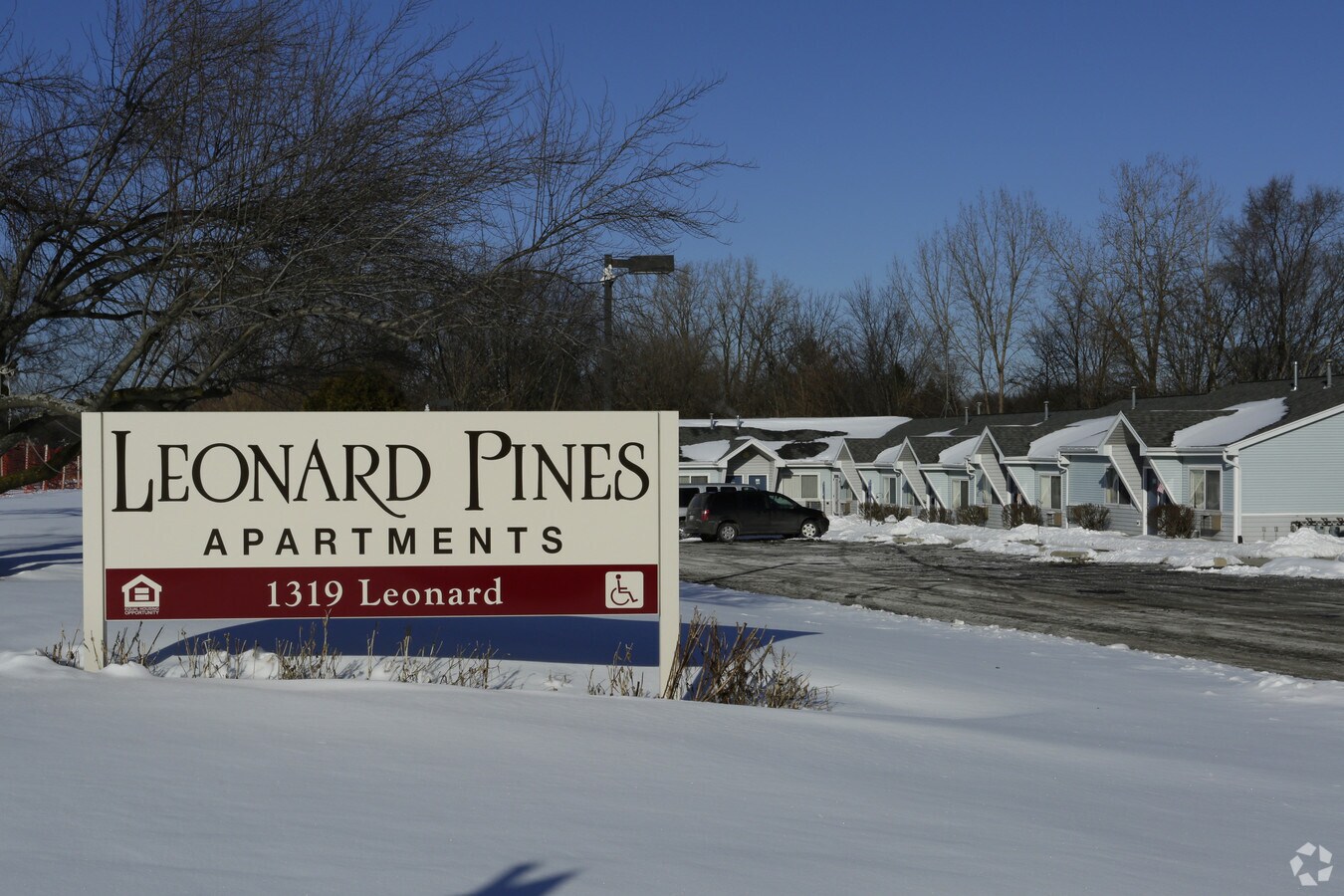 Photo - Leonard Pines