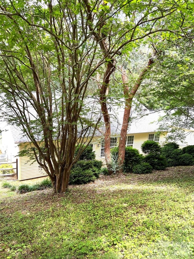 Photo - 216 Howe St