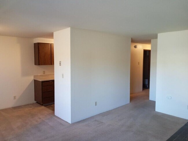 Photo - Urban Oasis!