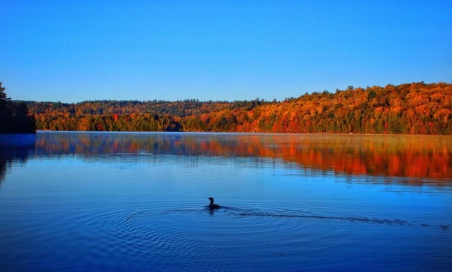 Photo - 619 Otter Rd