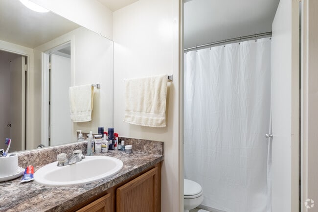 Studio - 447SF - Zen Apollo