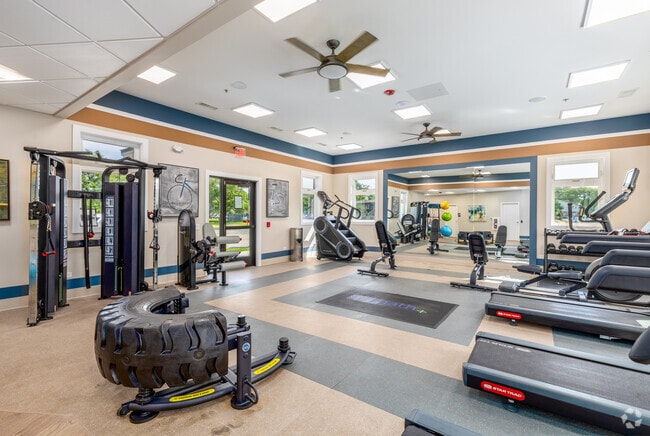 Gimnasio