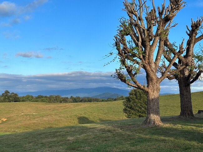 Vista desde el patio - 3655 W Allens Bridge Rd