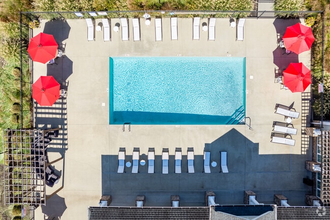 Piscina - The Standard at White House Apartments