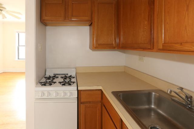 Photo - 1023 N Dearborn St Unit 014
