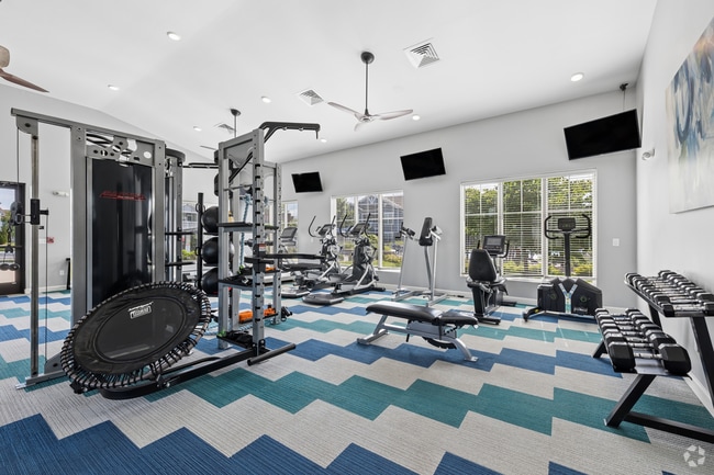 Fitness