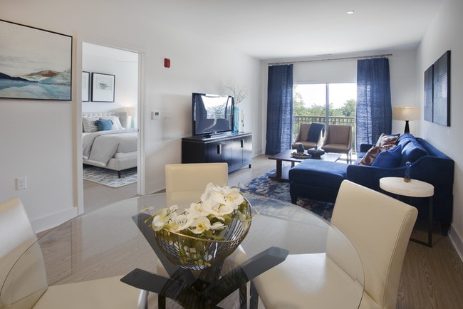 Fort Hill Apartments feature Wide Plank Floors in Living Rooms and Bedrooms