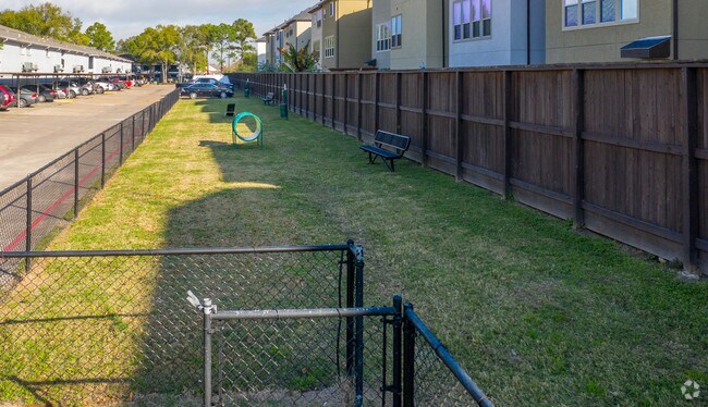 Dog Park