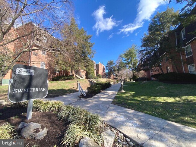 Photo - 4000 Gypsy Ln Unidad 520