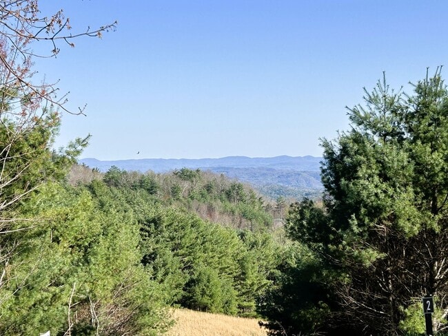 Photo - 1013 Wildcat Rd