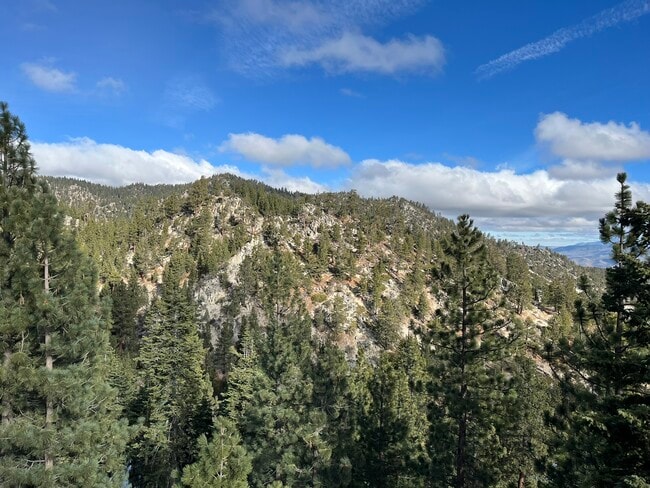 Photo - 261 Quaking Aspen Ln