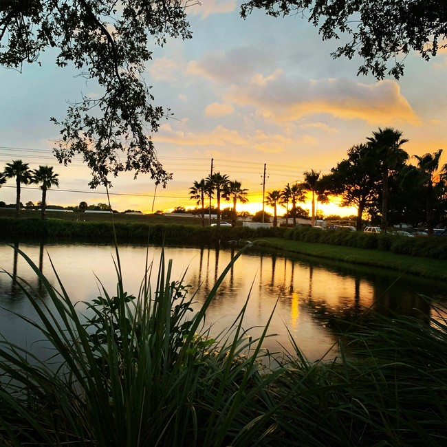 Harbour Cay - Harbour Cay Apartments