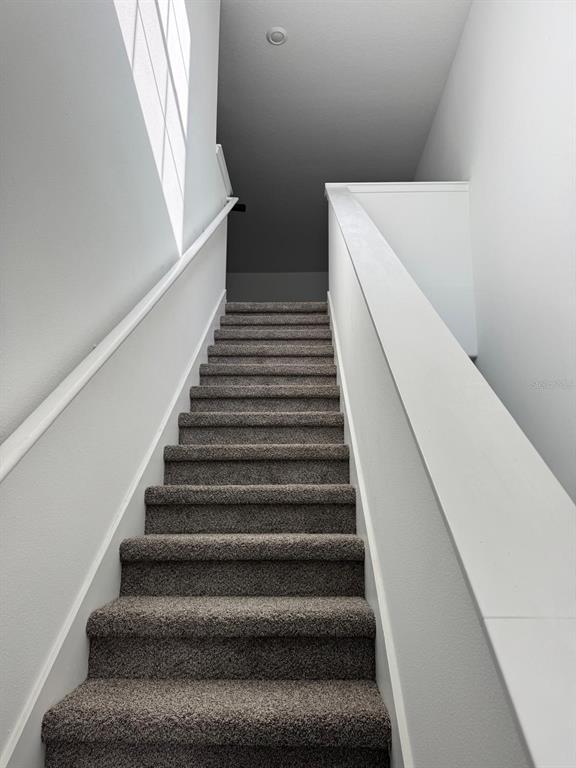 Photo - 10308 Lavender Aster Trl