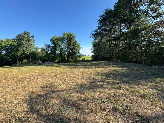 Photo - 2037 Piney Grove Rd