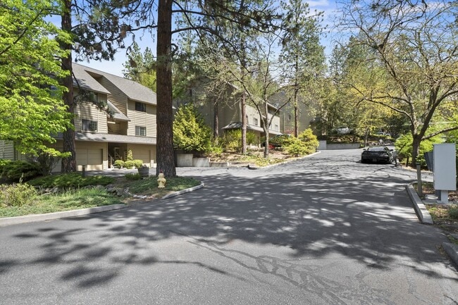 Photo - 113 S Neyland Ave Unit 101 S Neyland Avenue