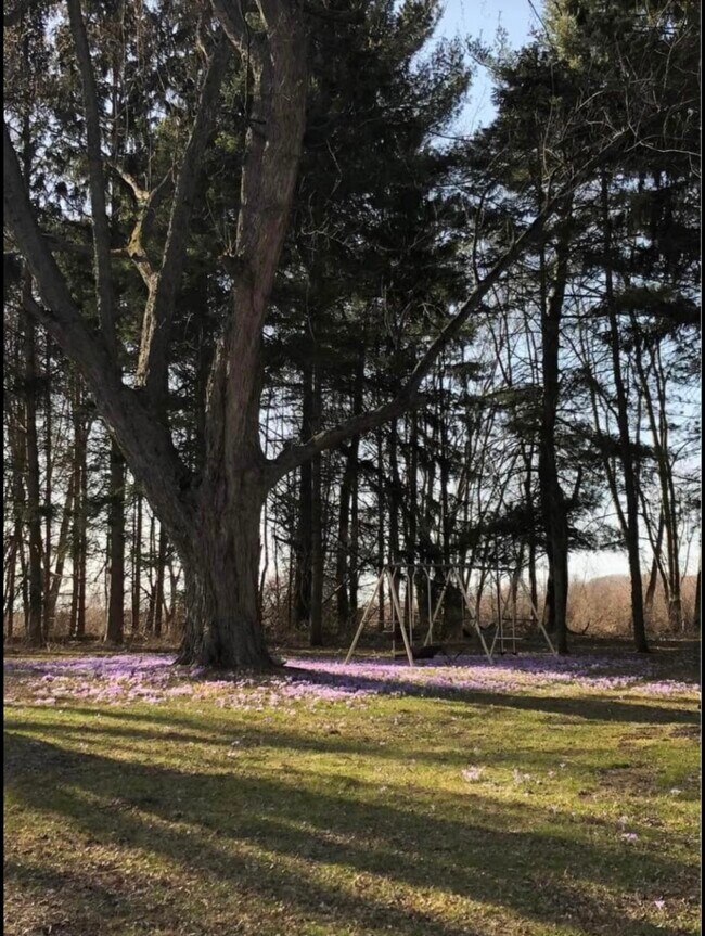 Photo - 8939 Pecor St Unidad 1st floor