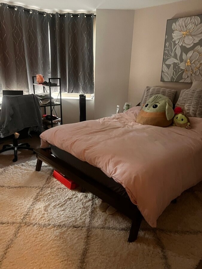 Photo - 535 N Michigan Ave Unit 2505