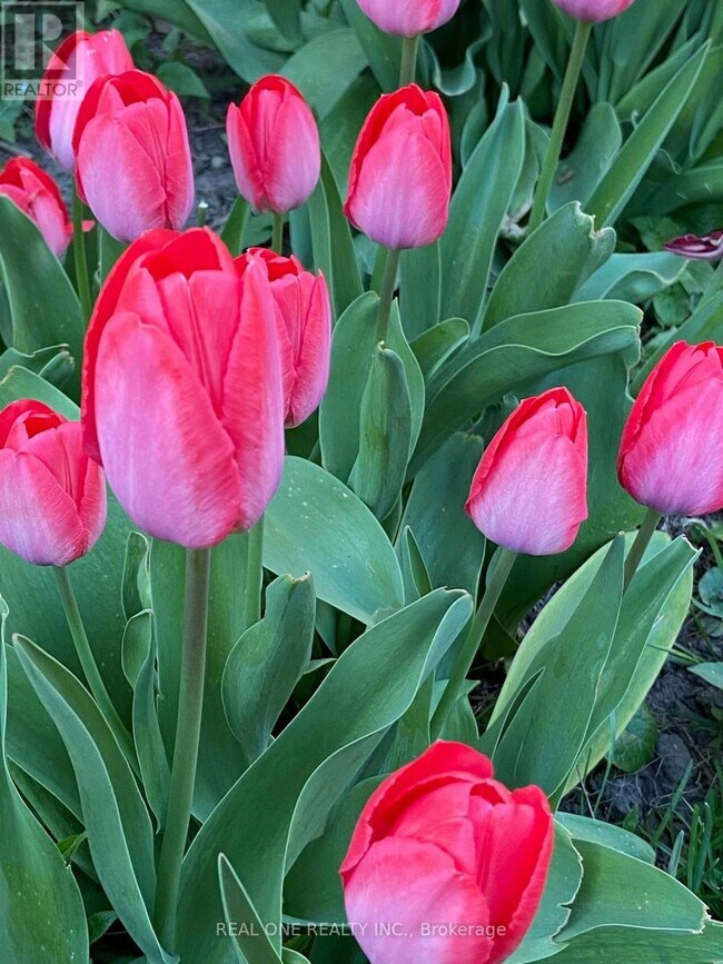 Photo - 22 Princeway Dr