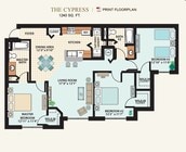 The Cypress