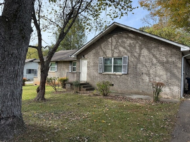 Building Photo - [03815W] Unit 03817W