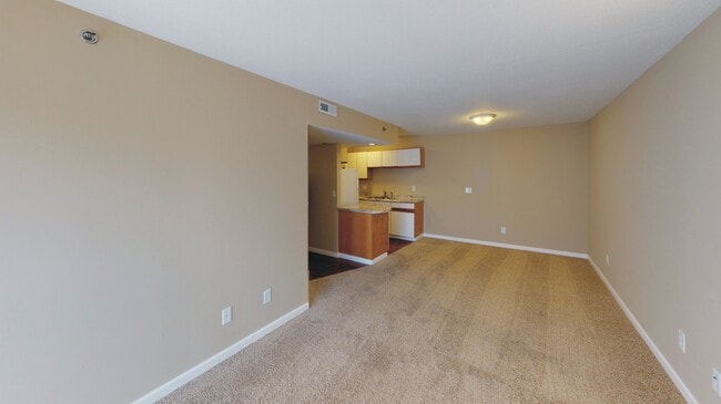 Mountain Valley Properties -Carbondale