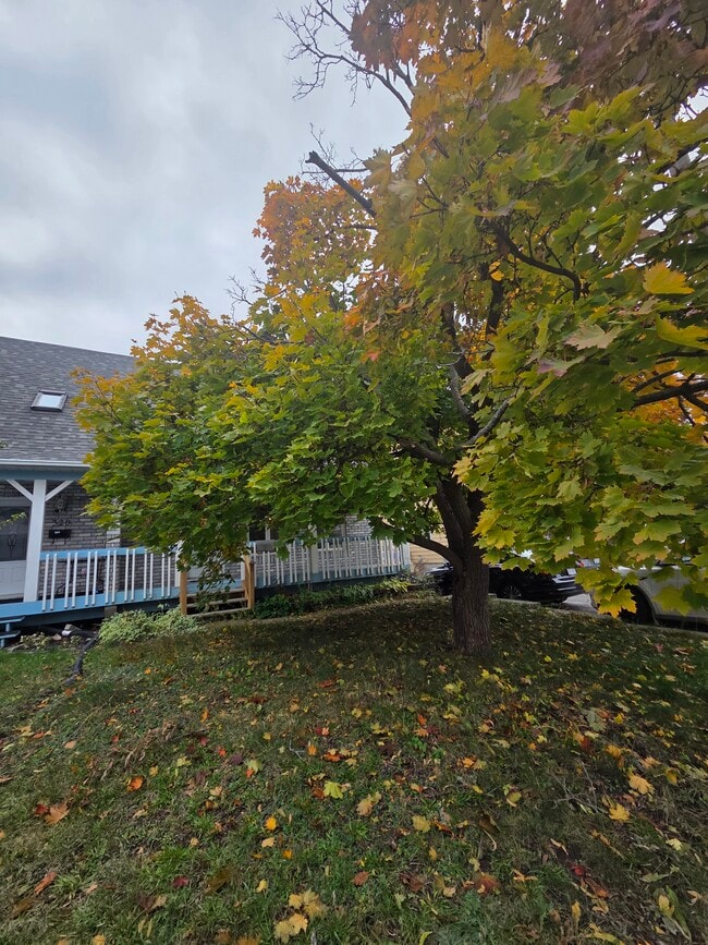 Building Photo - 316 Rue Pierre-Lafontaine