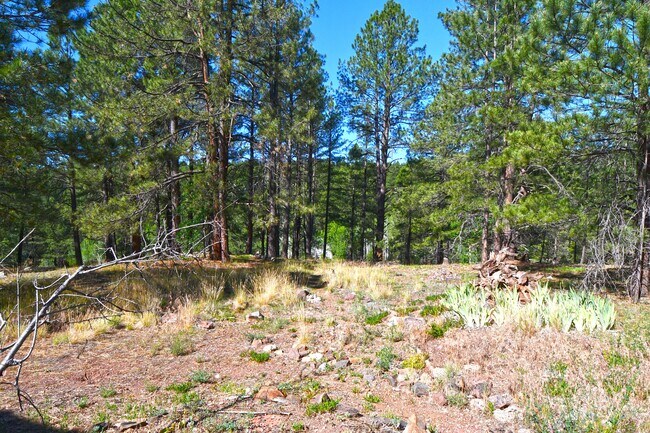 Photo - 2678 Mesa Trail Unit 4