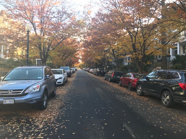 Calle Lamont - 1843 Lamont St NW Unidad Basement