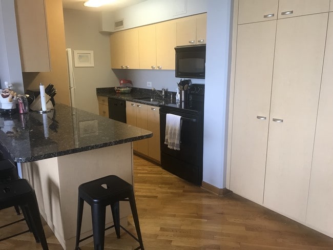 Updated Kitchen - 1339 N Dearborn St Unit 16A