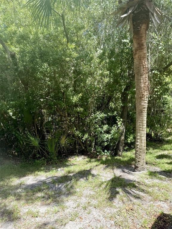 Photo - 16322 Parkstone Palms Ct