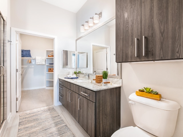 Ornate Bathroom - Overture Greenville	 55+ Active Adult Apar...