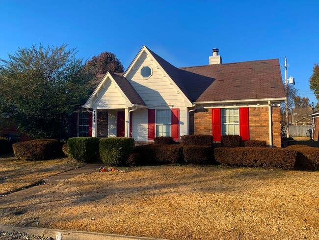 Photo - Available now