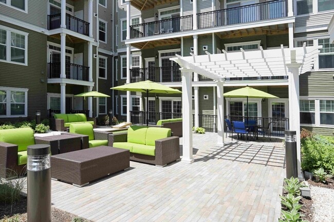 The Allure Mineola