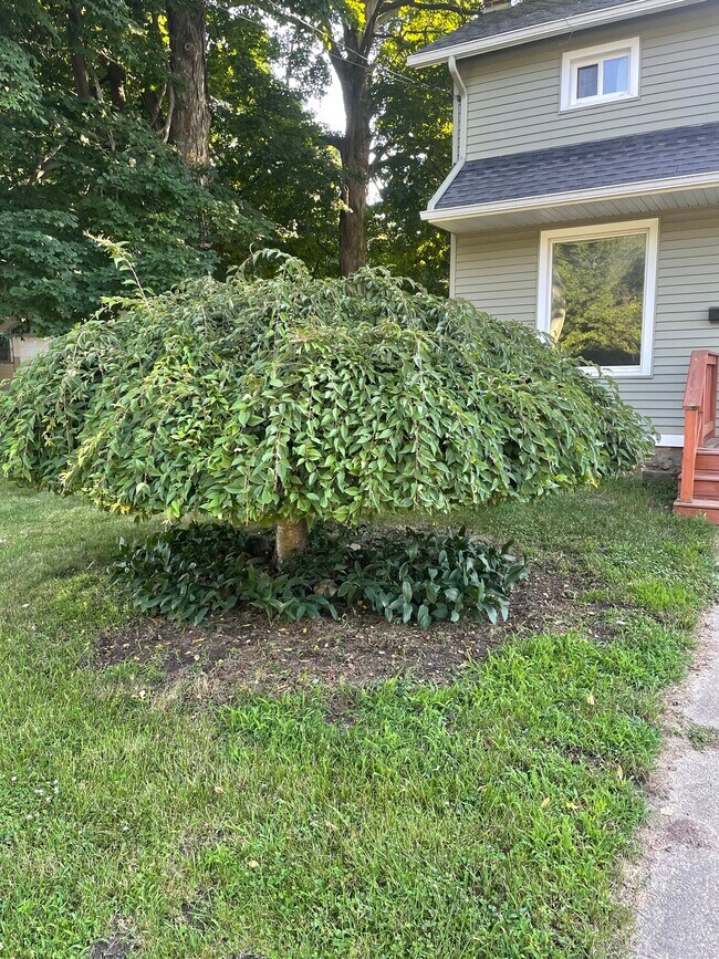 Photo - 503 East St
