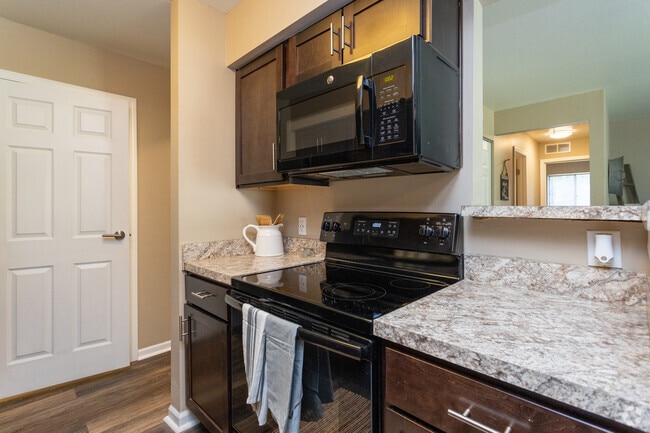 Photo - Northwind Forest