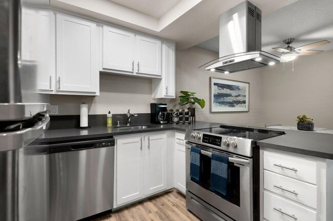 Photo - Chloe on Cirby