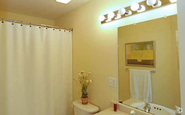 1 Bedroom - Center Pointe at Radisson