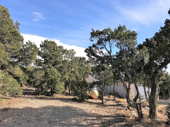 Photo - 88 Crestview Ln