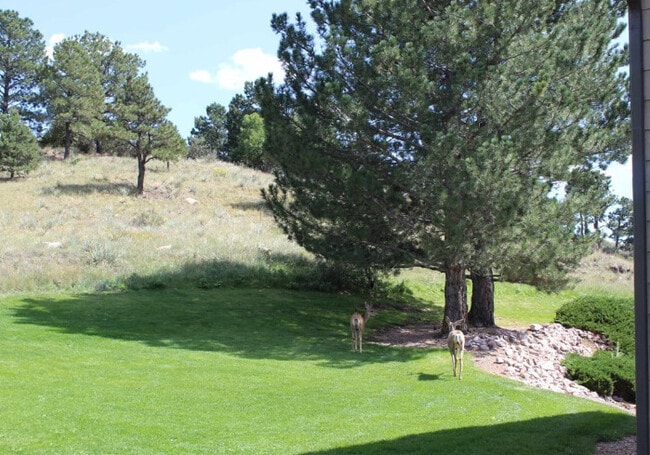 Center Pointe