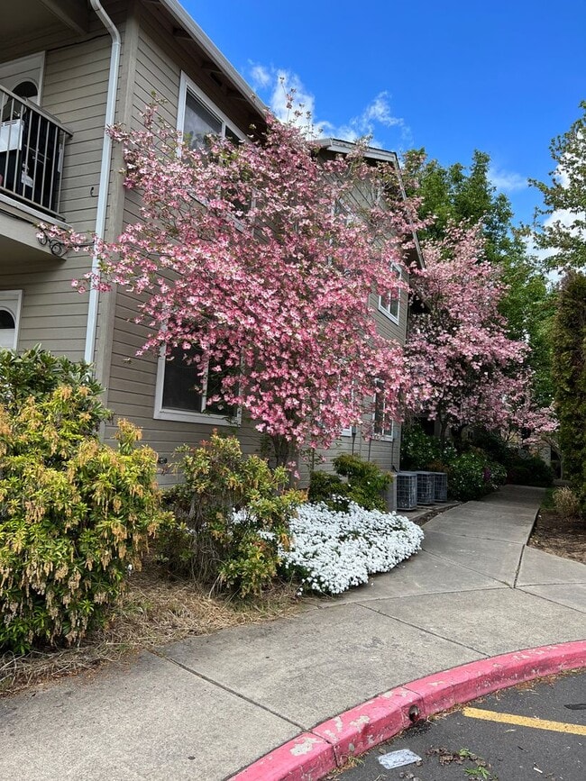 Photo - 3163 Juniper Ridge Dr Unidad 11